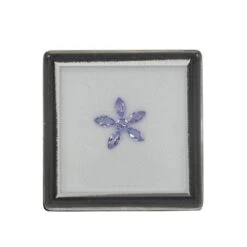 Larkspur Flower Includes 0.65cts Tanzanite 5x2.5 & 3.25mm