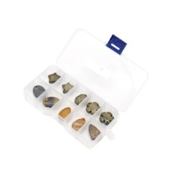 260cts Pyrite &Picasso Jasper Assorted Shapes And Sizes Cabs, Set Of 6 In Box