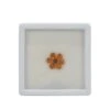 Daffodil Flower Includes 2cts Mandarin Garnet & Red Garnet 4.75x3.75 & 3.25mm